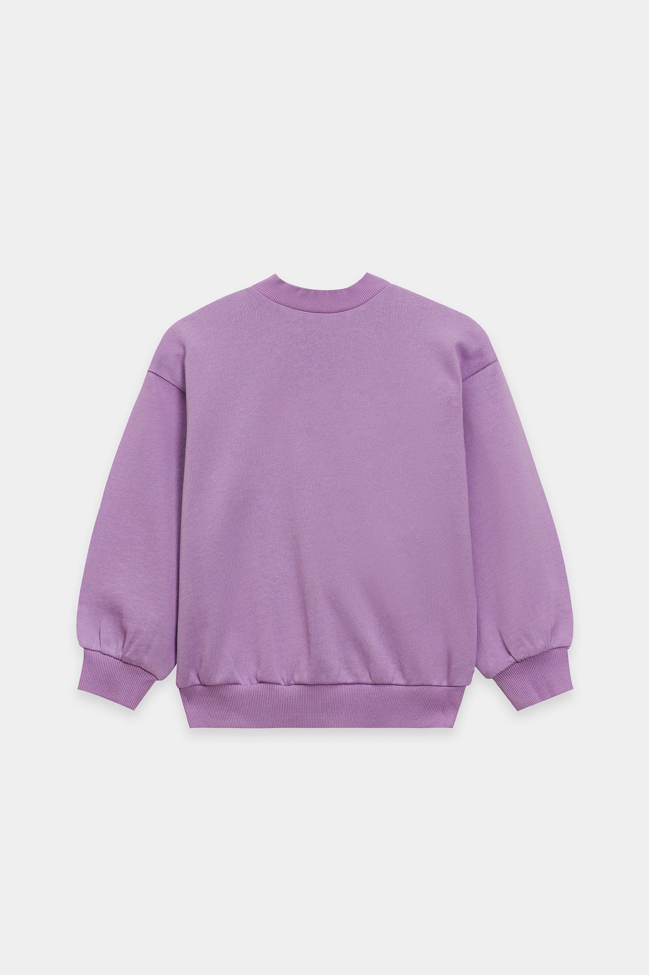 SWEAT SHIRT (E1947/401/513) - Image 2
