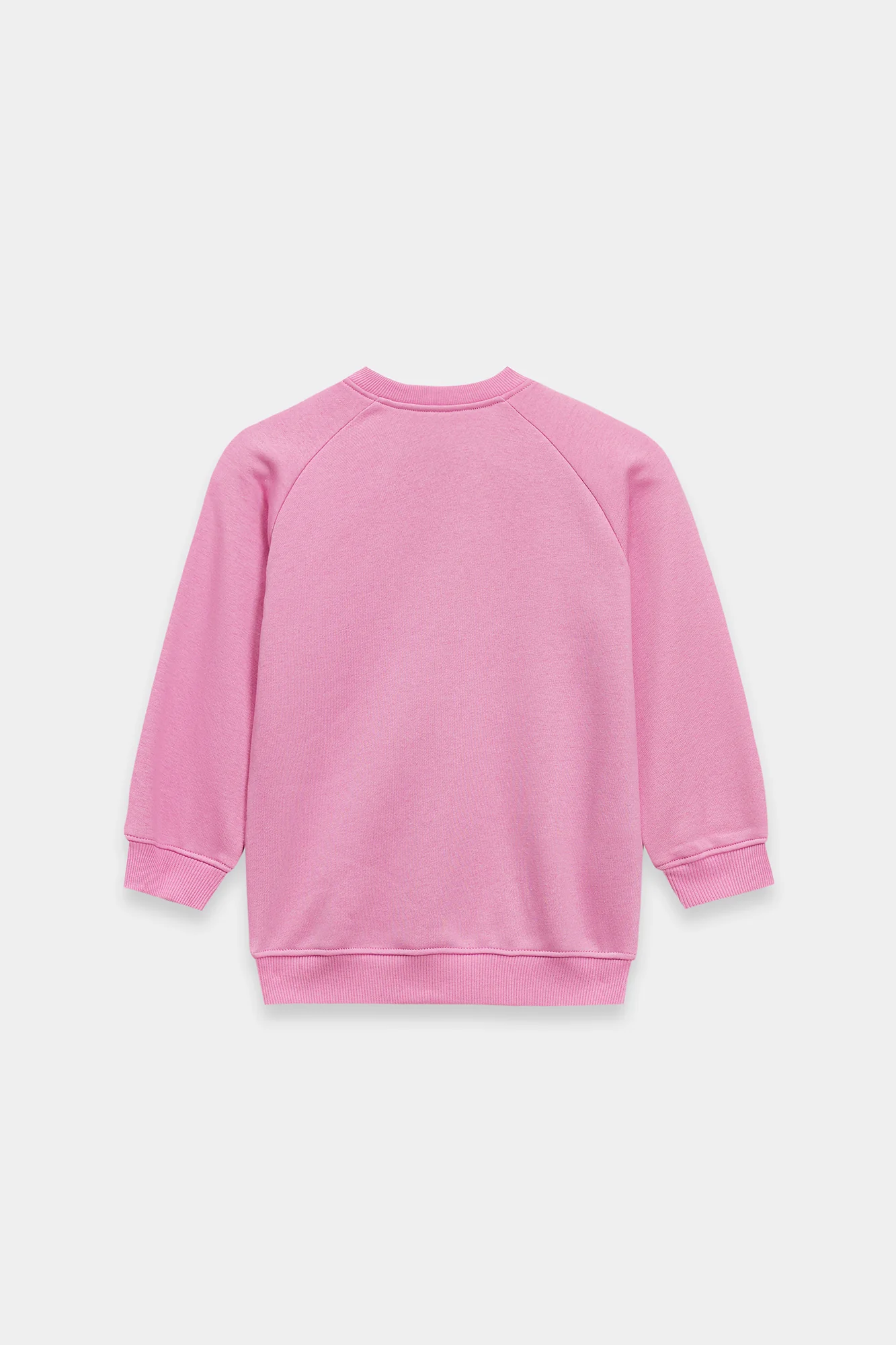 SWEATSHIRT (E1946/301/529) - Image 2